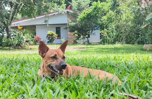 Penjamo Haus | Quinta Rincon Silvestre w/AC, WiFi & pool in lovely Peñas Blancas near V. Arenal