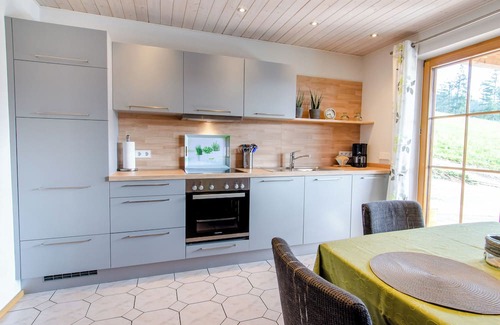 Hausach Wohnung | Apartment 'Vordersbergerhof' with Mountain View, Private Terrace and Wi-Fi