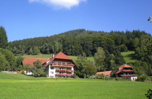 Muehlenbach Wohnung | Apartment 'Ferienwohnung Schwalbennest' with Mountain View, Balcony and Wi-Fi