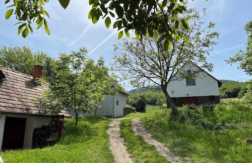 Nemesgulacs Hütte | Cosy one bedroom cottage with perfect views with AC close to Lake Balaton
