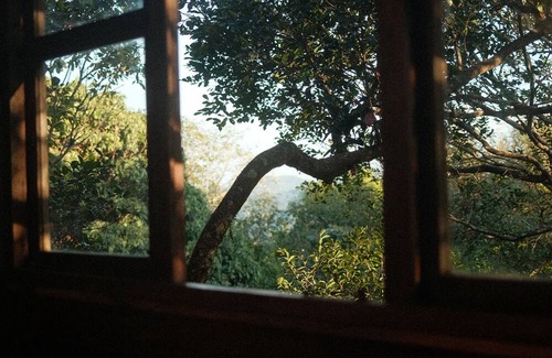 Sakleshpur Kabine | Treedom Treehouse Eco-Restoration getaway in the Jungles of South India