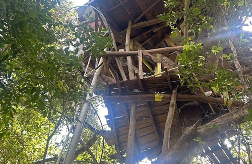 Sakleshpur Kabine | Treedom Treehouse Eco-Restoration getaway in the Jungles of South India