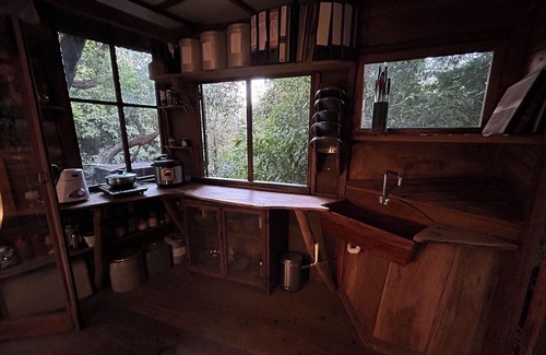 Sakleshpur Kabine | Treedom Treehouse Eco-Restoration getaway in the Jungles of South India