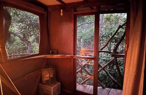 Sakleshpur Kabine | Treedom Treehouse Eco-Restoration getaway in the Jungles of South India