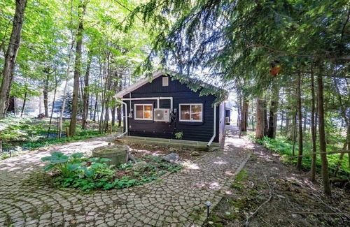 Huntsville Haus | Summer Escape, Kayaks, BBQ, Close to Arrowhead