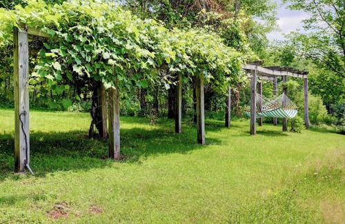 West Kill Kabine | Charming family cabin in the Catskills most secret valley!