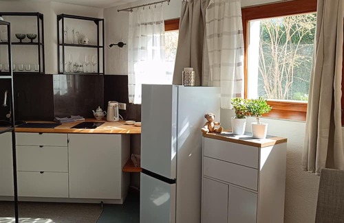 Nagold Wohnung | Wohnung in Nagold mit Dusche und Küche