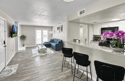 Addison Wohnung | 2102 · DFW cozy Apt, Free Parking/WI-FI, Pool & Gym