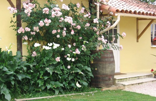 Manciet Hütte | Charming gîte in beautiful SW France countryside