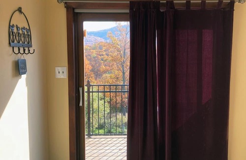 Castleton Wohnung | Hilltop Pet Friendly Studio in Castleton, Vermont