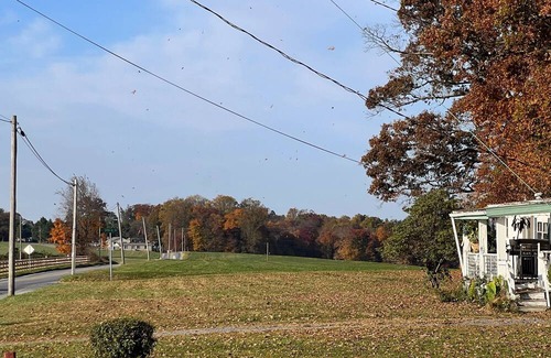 Quarryville Haus | Charming 1-bedroom house in awesome Kirkwood with AC