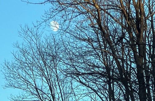 Quarryville Haus | Charming 1-bedroom house in awesome Kirkwood with AC