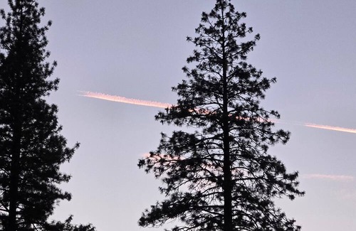 Burney Wohnung | Modern 2bedroom apartment with AC,WiFi in peaceful Burney 1.5 bath beds upstairs