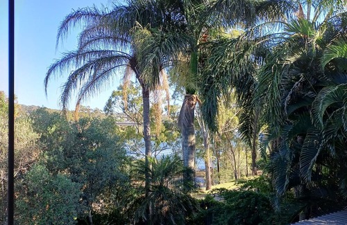Tannum Sands Wohnung | Beautifully appointed Riverside Apartment with views near to river and beach.