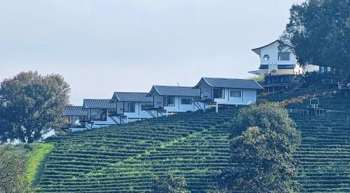 Mae Fa Luang Haus | WATA KHIRI by Wang Put Tan