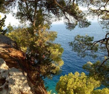 Makarska Old Town Wohnung | Makarska room 2 bets with balkon 50 m from beach
