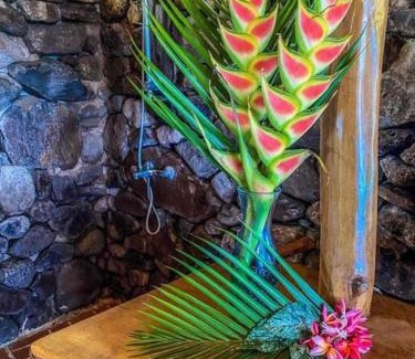 Cook's Bay Haus | Moorea Cooks bay bungalow avec vue imprenable