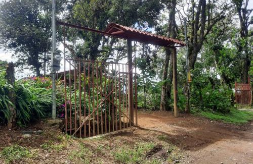 Roble Sonstige | Finca raíces del pasado