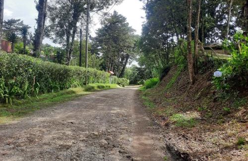 Roble Sonstige | Finca raíces del pasado