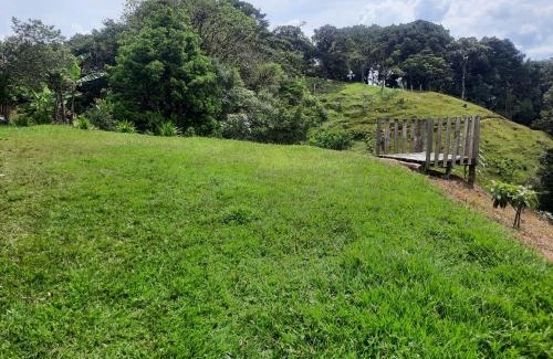 Roble Sonstige | Finca raíces del pasado