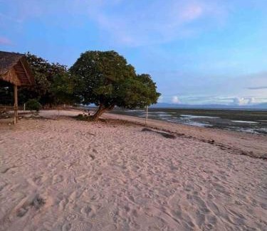 Lian Wohnung | Clipper View Beachfront Calatagan cel