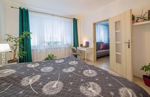 Banska Stiavnica Wohnung | Apartmán Schemnitz Classic