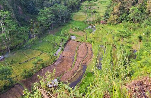 Lombok Sonstige | Lembah Datu Campsite