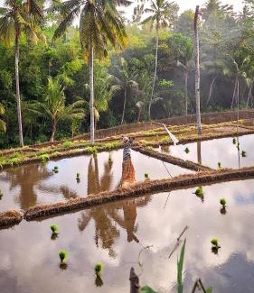 Lombok Sonstige | Lembah Datu Campsite