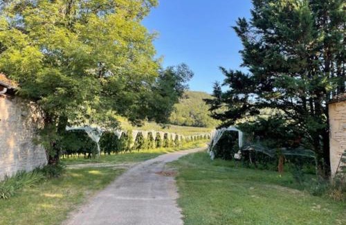 Penne Haus | Maison Gorges de l'Aveyron