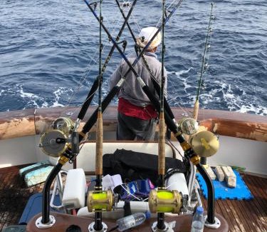 Durrat Al-Arous Bootsverleih | Sharmaui