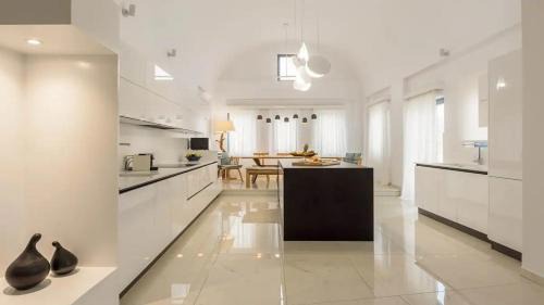 Vlychada Haus | Villa Fragrant olive trees Exclusive 12guests