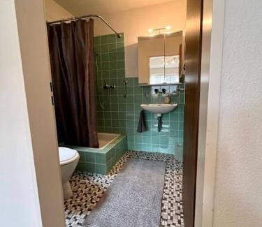 Oberlunkhofen Haus | Helles Zimmer mit eigener Dusche WC