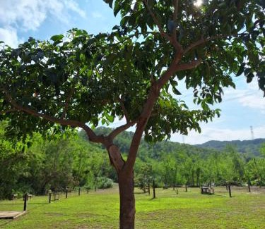 Checheng Kabine | 墾丁溪之谷樹屋農場民宿