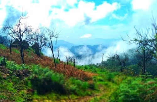 Kodaikanal Haus | The place the experience kodaikanal