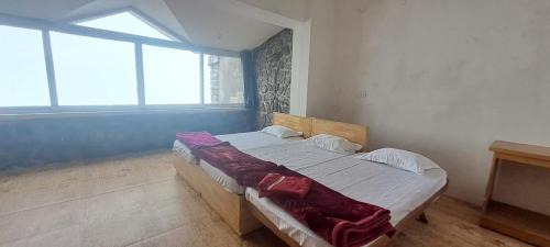 Kodaikanal Haus | The place the experience kodaikanal