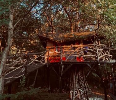 Cluj-Napoca Sonstige | Forest TreeHouse
