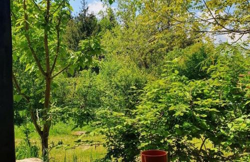 Cluj-Napoca Sonstige | Forest TreeHouse