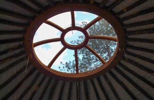 Brownfield Sonstige | Allie Mae Yurt nestled in the woods