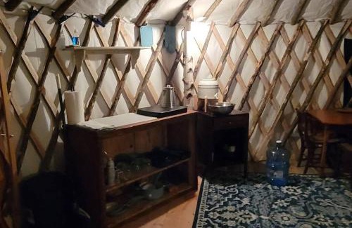 Brownfield Sonstige | Allie Mae Yurt nestled in the woods