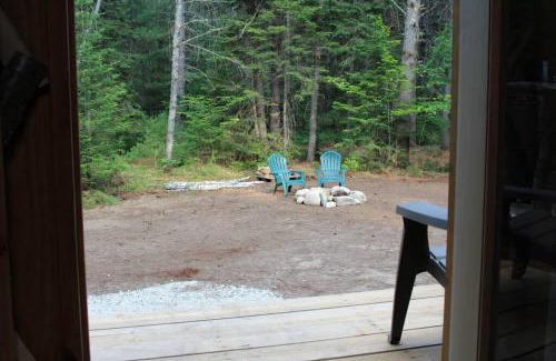Brownfield Sonstige | Allie Mae Yurt nestled in the woods