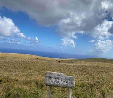 Hanga Roa Haus | Terevaka Lodge