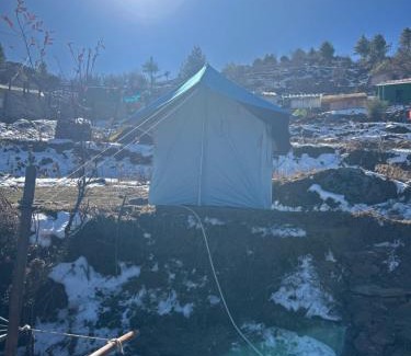 Auli Sonstige | Budget Camp