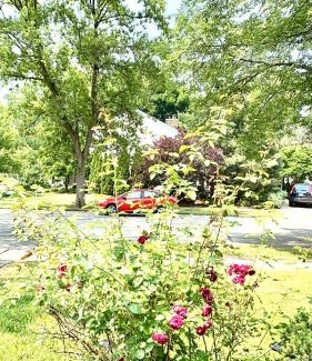 Naperville Haus | B2 A private room in Naperville downtown with desk and Wi-Fi near everything