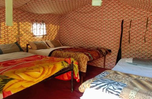 Sirala Sonstige | SHIVAY ADVENTURE