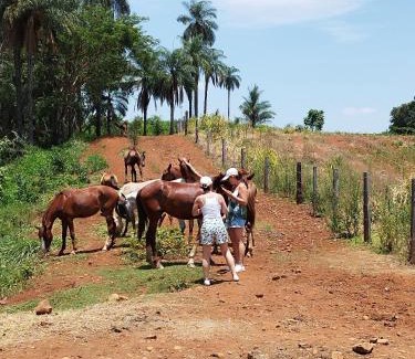 Casa Branca Haus | Fazenda Cachoeira