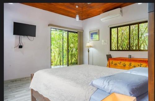 Ojochal Wohnung | Colibri Casitas