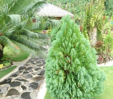 Huahine Wohnung | Rops Location Huahine
