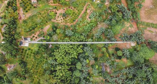 San Mateo Sonstige | UCM Adventure Park