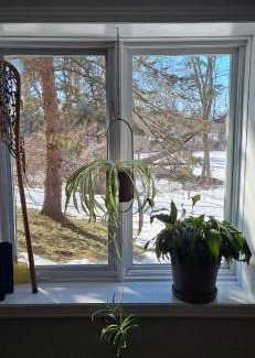 Ottawa Division Haus | Nature Retreat in the city
