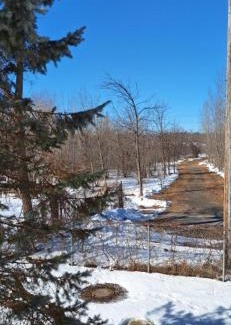 Ottawa Division Haus | Nature Retreat in the city